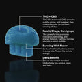 MUNCHIES’ FUNCTIONAL MICRO-DOSE EDIBLES -Big Brain-Chillin-Love